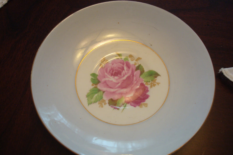 Rosina cup and saucer made in England, cup is white outside, roses [A5#3]