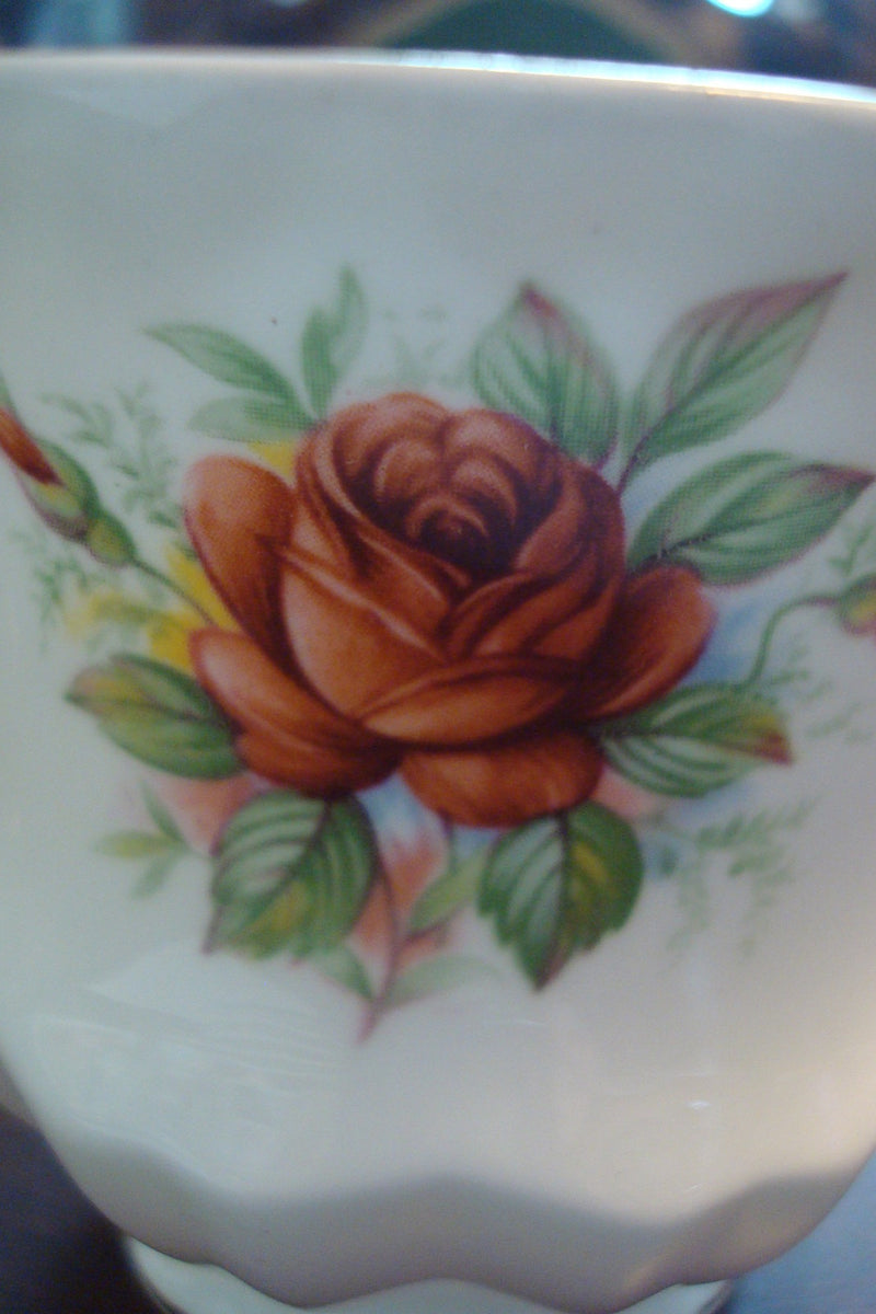 Queen's England Cup and Saucer by Rosina,Rose Pattern, Special Flowers [83c]