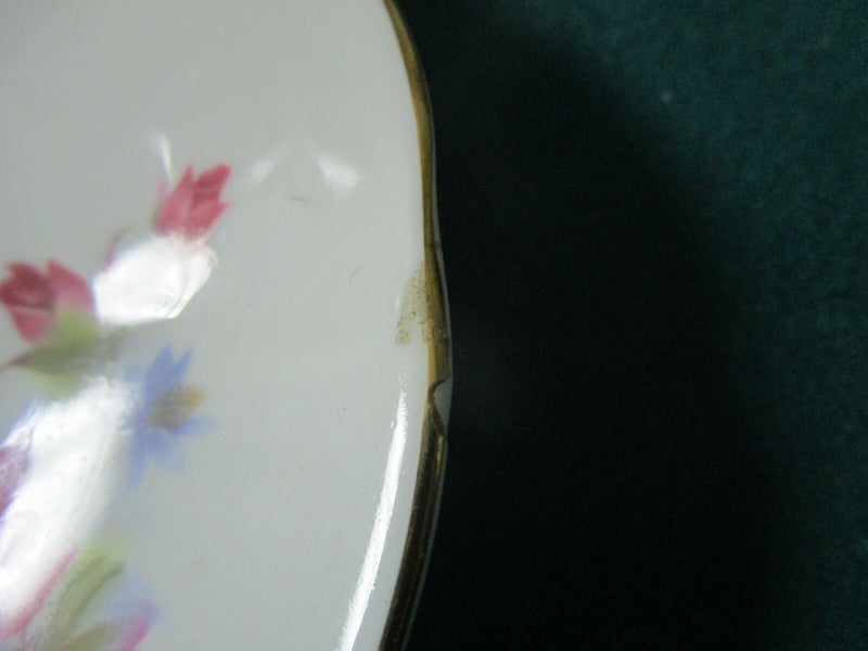 Royal Dover  England TEA cup and saucer decorated bouquet of flowers orig [85]