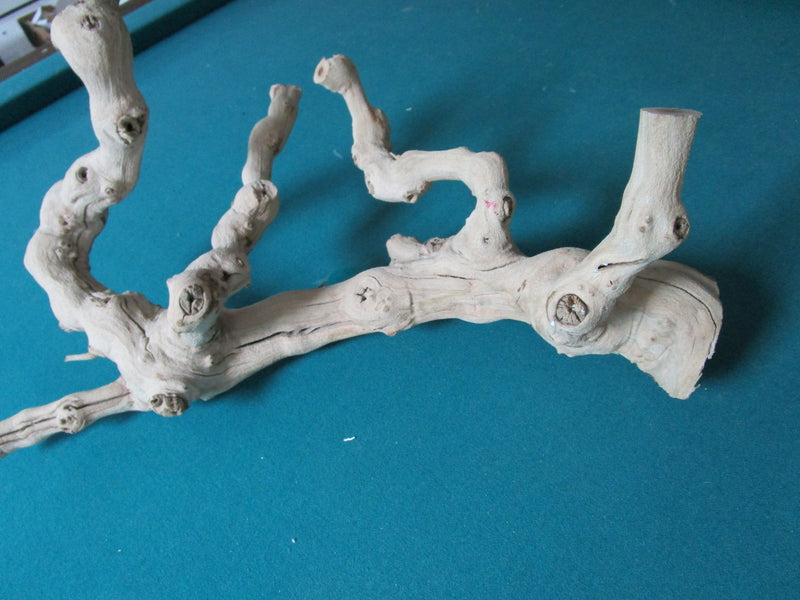 Natural decorative driftwood18" long by 10" tall