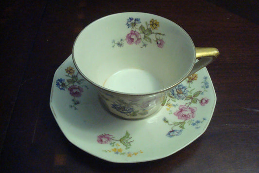 Antique Gerard, Dufraisseix & Abbot -ROSARIO- Haviland Limoges cup & saucer [89c