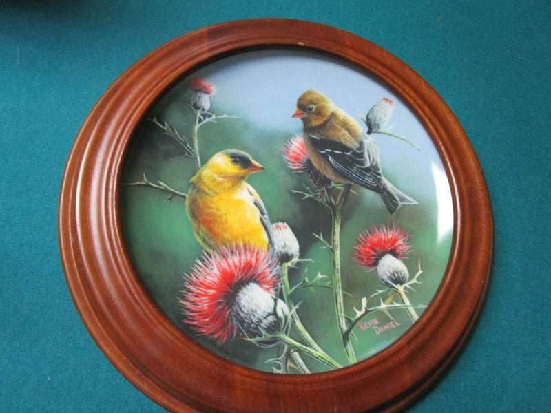 Encyclopaedia Britannica Birds Plates Wooden Frame Blue Birds -Goldfinch Pick1^^