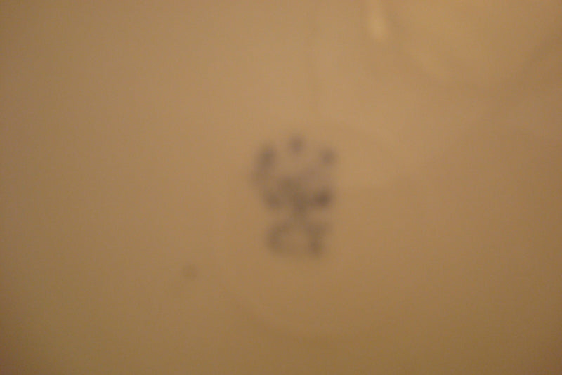 Carl Tielsch  - SAXONIAN PORCELAIN Germany- ca1910s cup, saucer and cake plate