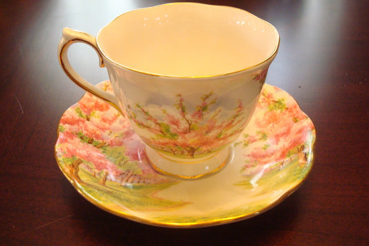 Royal Albert cup and saucer made in England, "Blossom Time" pattern [A5#3]