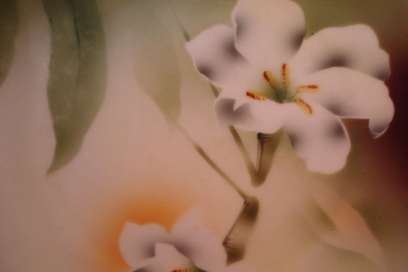 C Tirsch made in Germany, Altwasser Silesia, plate decorated with lilies[#61]