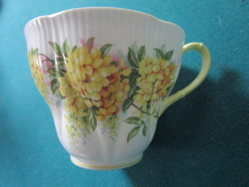 Royal Albert Blossom Time  Laburnum England Floral Cup And Saucer [65]