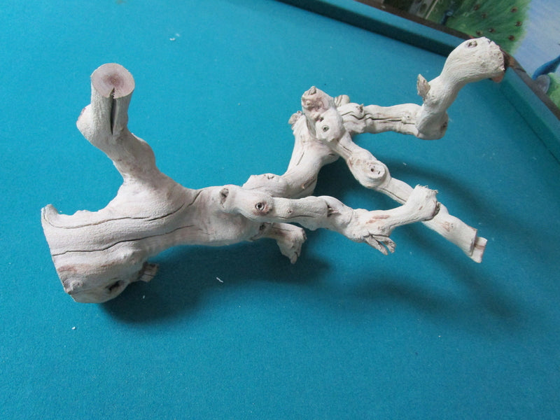 Natural decorative driftwood18" long by 10" tall