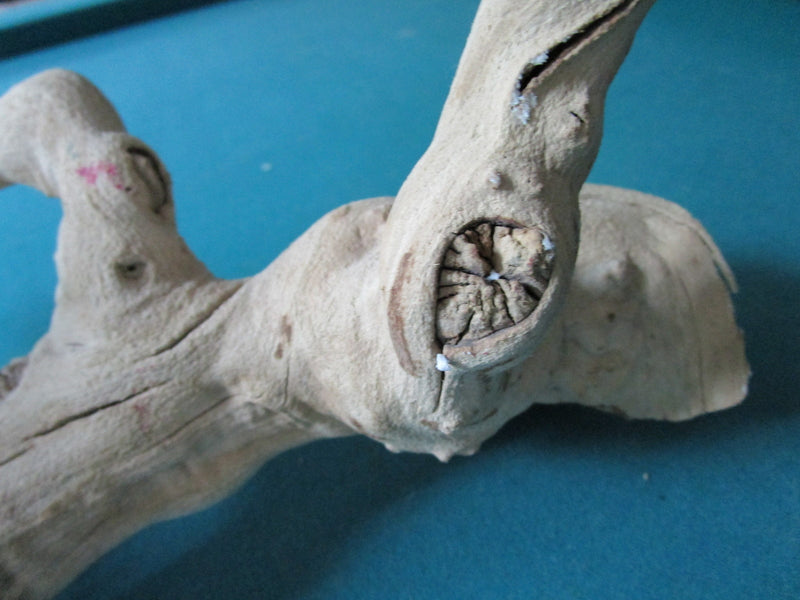 Natural decorative driftwood18" long by 10" tall