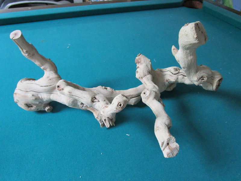 Natural decorative driftwood18" long by 10" tall