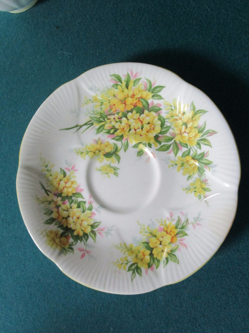 Royal Albert Blossom Time  Laburnum England Floral Cup And Saucer [65]