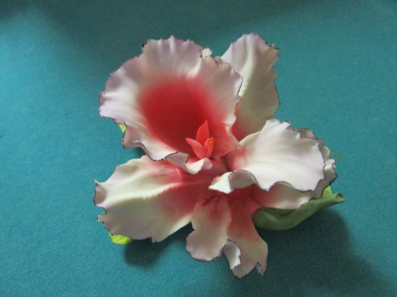 CAPODIMONTE ITALY ORCHID PORCELAIN SCULPTURE PINK, BLUE, DOTTED PICK 1