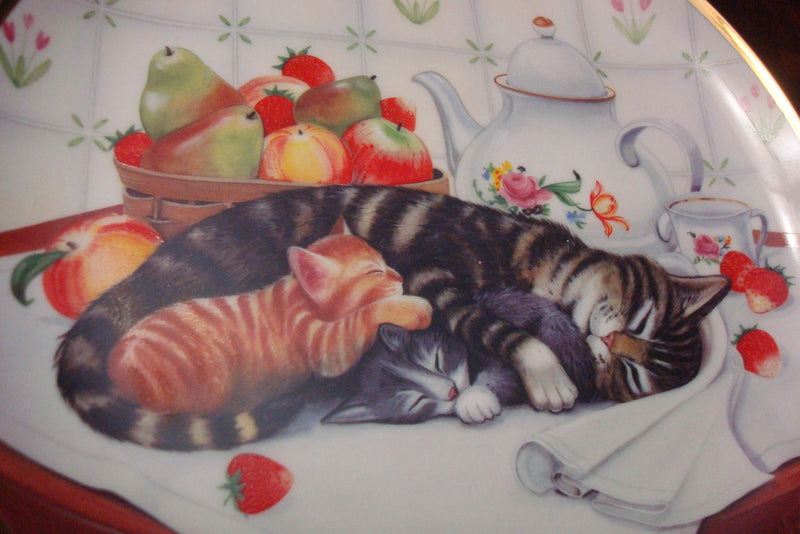 Turi MacCombie CAT NAP Franklin Mint Collectors Plate Limited Edition  w/COA ^^