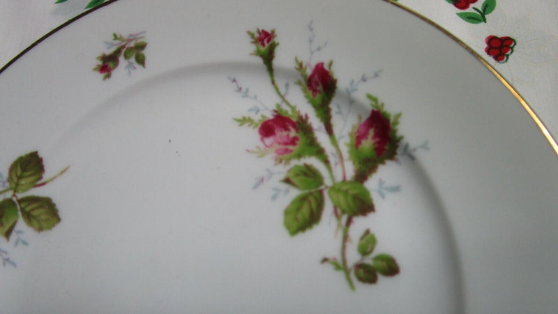 Rosenthal Moss Rose Pompadour 9 Bread Plates Gold Rim 6 3/4"