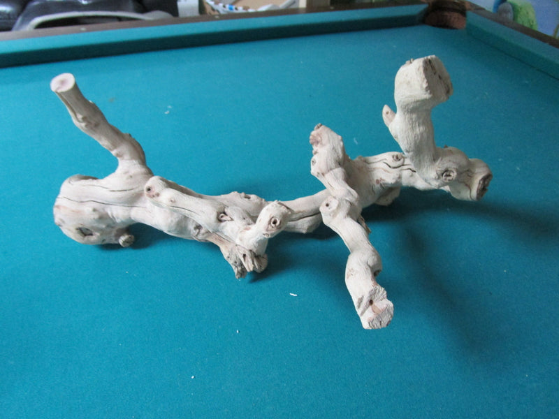 Natural decorative driftwood18" long by 10" tall