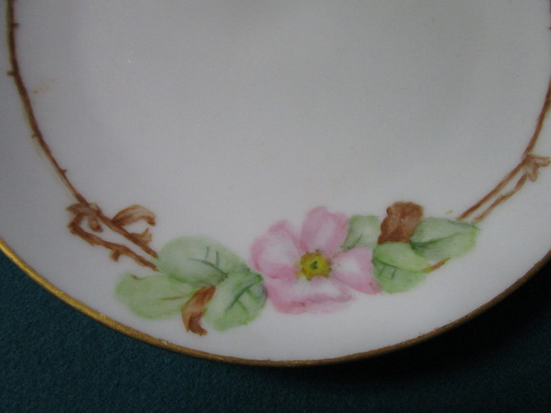 Fritz Thomas Porcelain- Rosenthal Germany- 1950 6 Salad Plates 7 1/2" [*CHINRACK