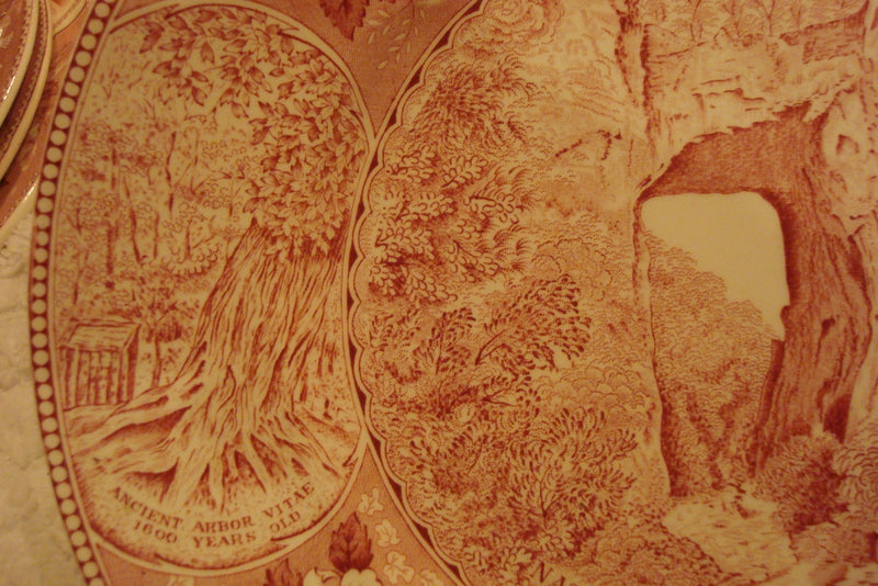 Old English Staffordshire plate "The Picturesque Natural Bridge of Virginia"