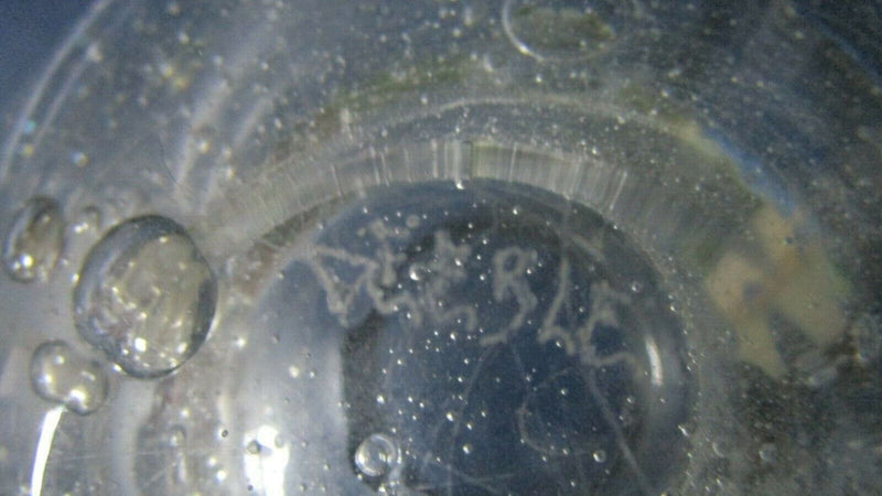 DEEBLE Signed Clear Bubble Glass Bowl / Vase 5 X 6" [aC]