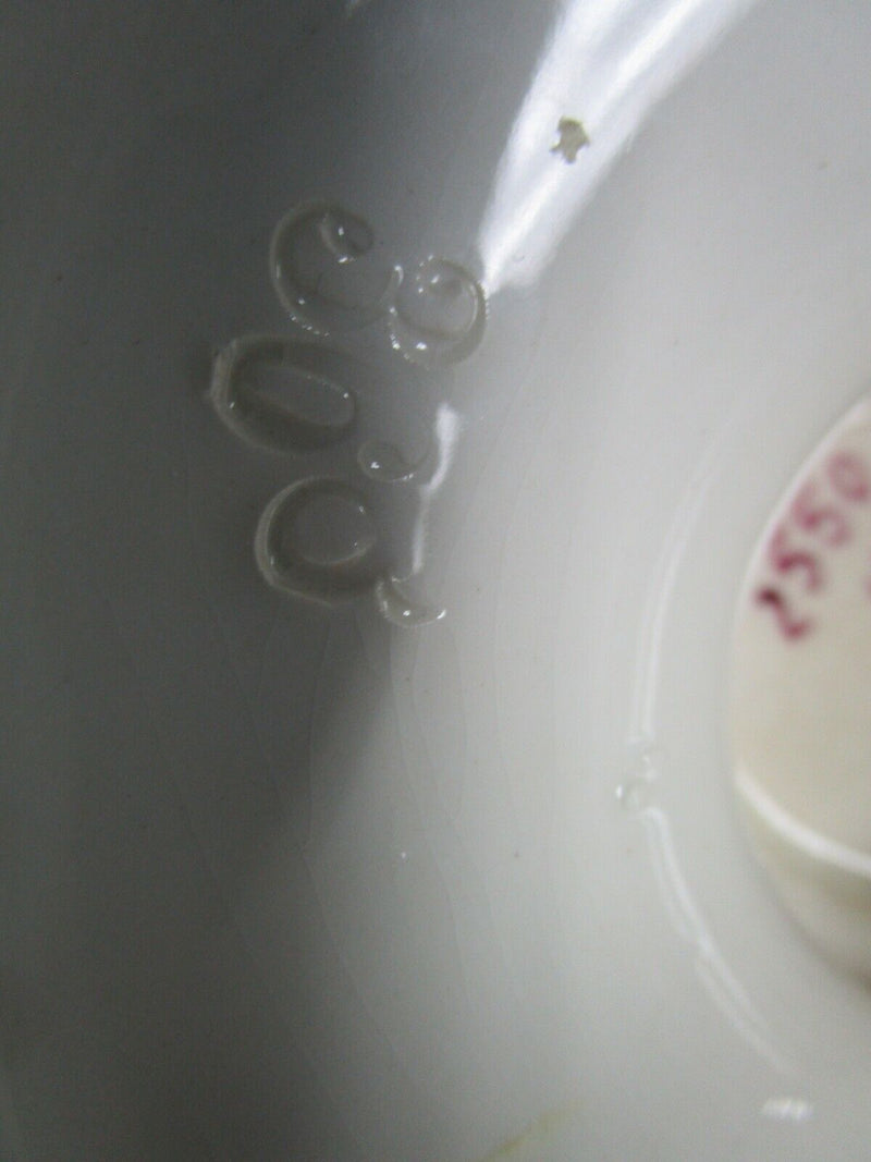 Antique Royal Bonn Vase Chrysanthemum Aesthetic ANTON MEHLEM 17"- 1890s