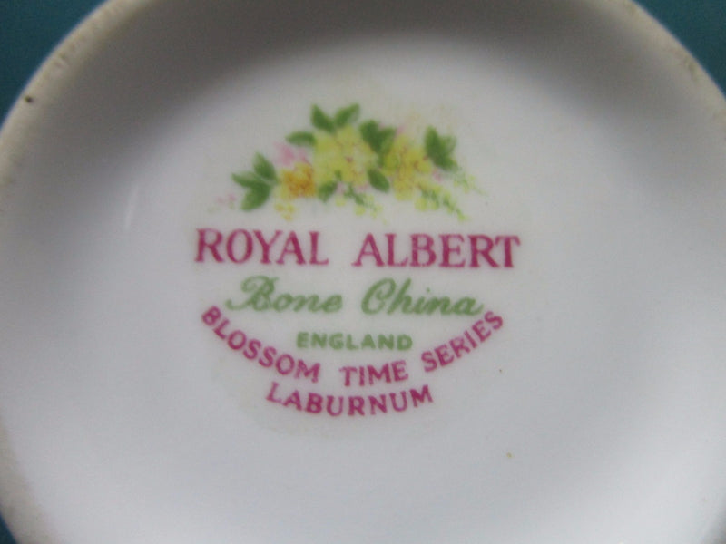 Royal Albert Blossom Time  Laburnum England Floral Cup And Saucer [65]