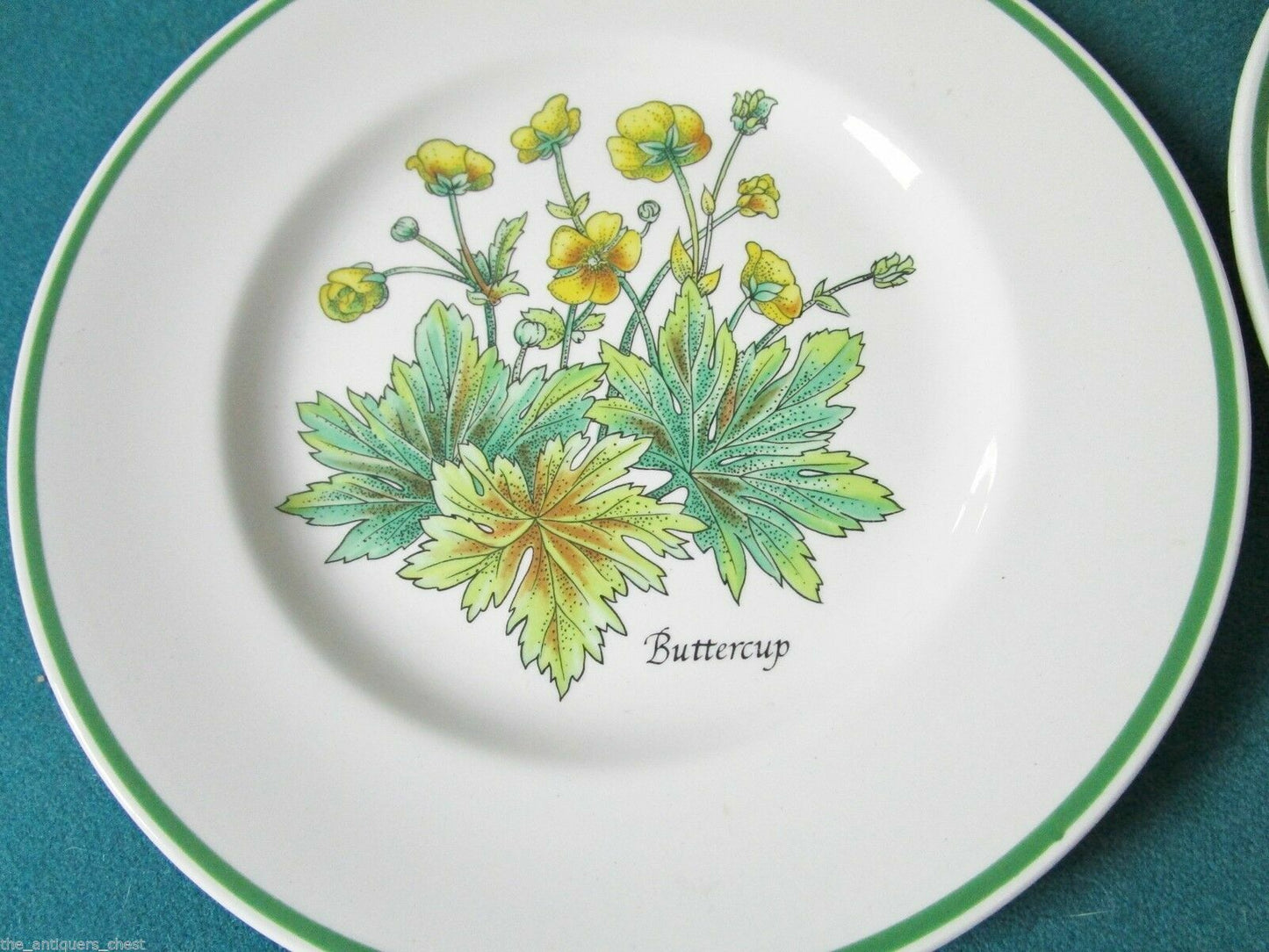 TIFFANY & CO JOHNSON BROS -MENAGERIE-  -WILD FLOWERS- SALAD PLATES ORIGIN PICK 1