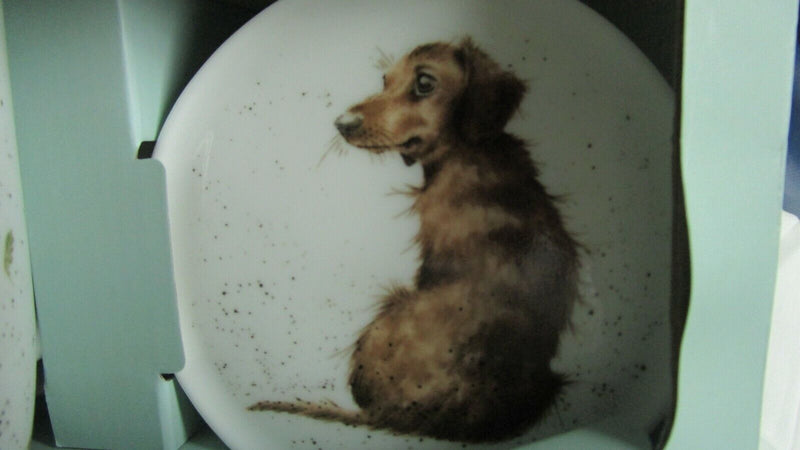 Royal Worcester Mug And Saucer Sausage Dutch Hound Dog - Pug Love Dog Nib Pick 1