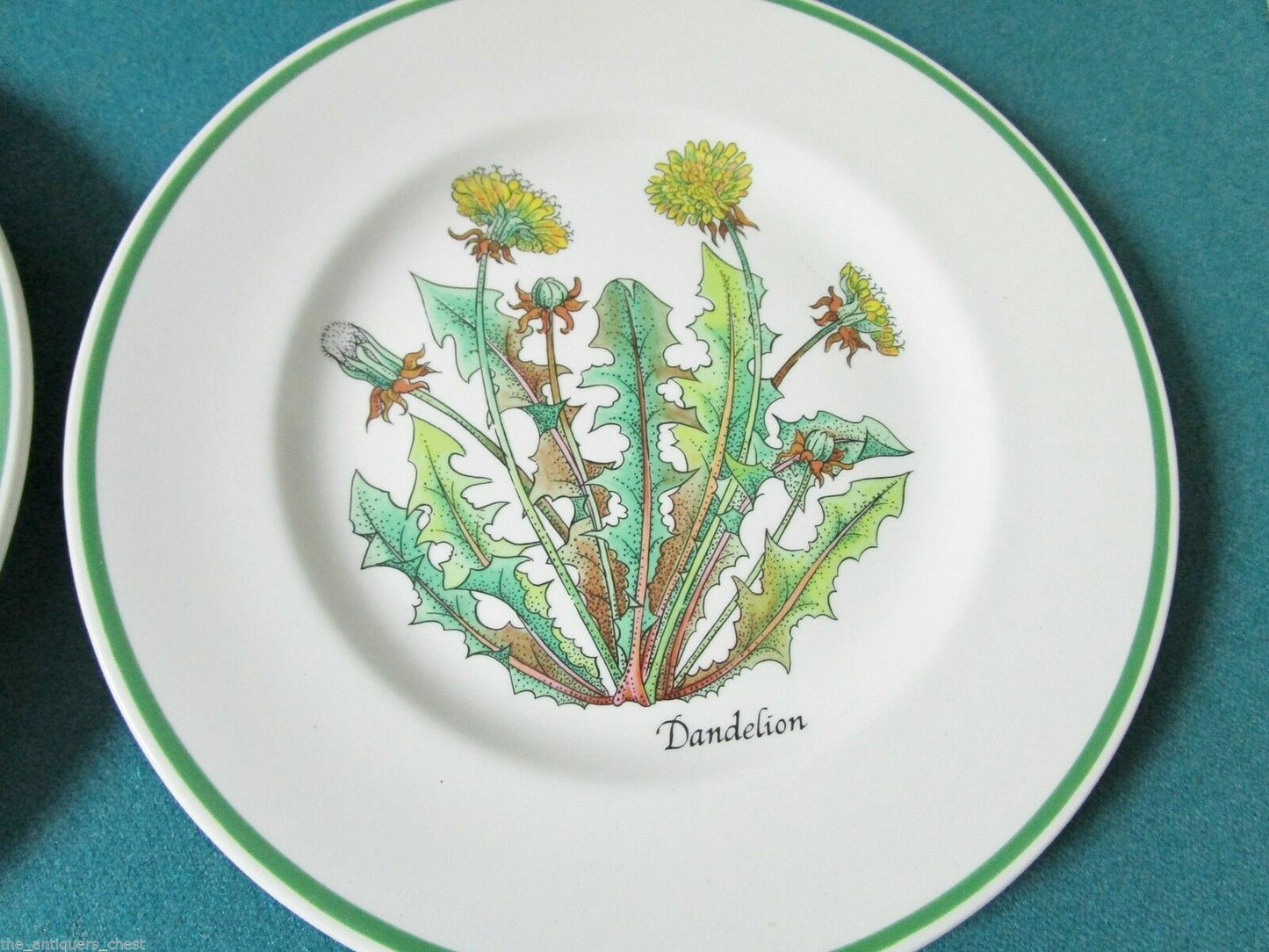 TIFFANY & CO JOHNSON BROS -MENAGERIE-  -WILD FLOWERS- SALAD PLATES ORIGIN PICK 1