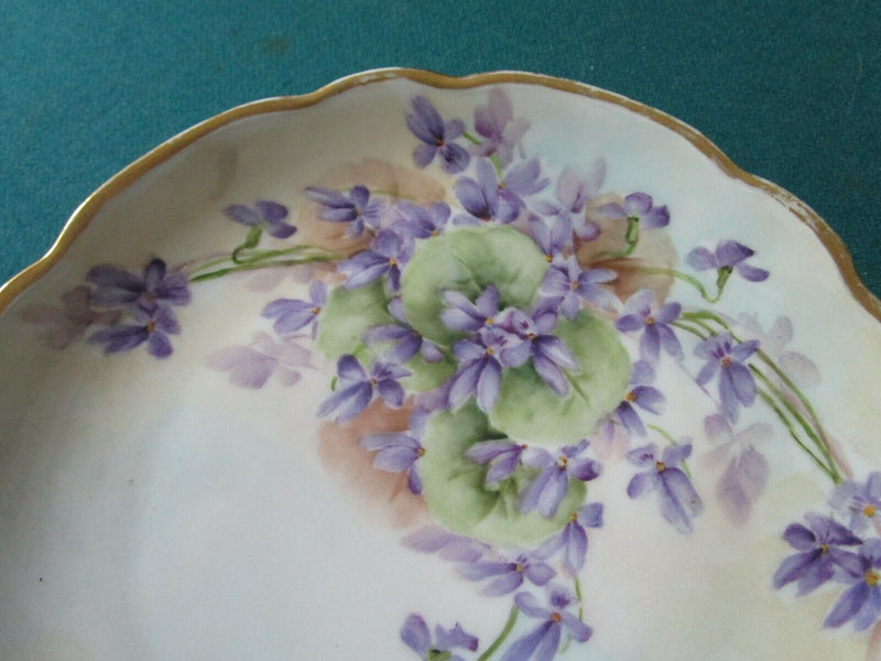 Moritz Zdekauer Austria Weiman  Plates Blue Daisies Wild Roses Violets Pick1^^