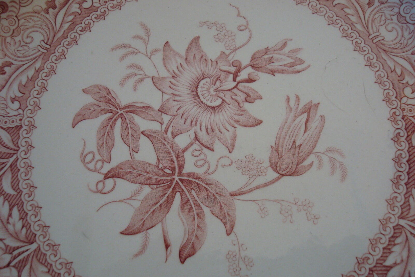 THE SPODE ARCHIVE COLLECTION Collector plate Georgian Series, "Floral" pattern