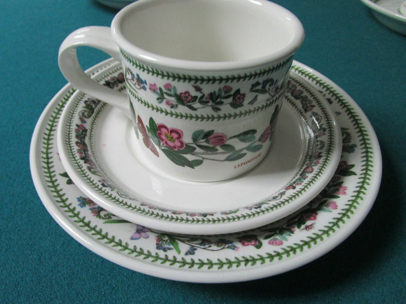 Portmeirion England Cup Saucer  Trio Botanical Flowers Herbs Pick1 [120b]