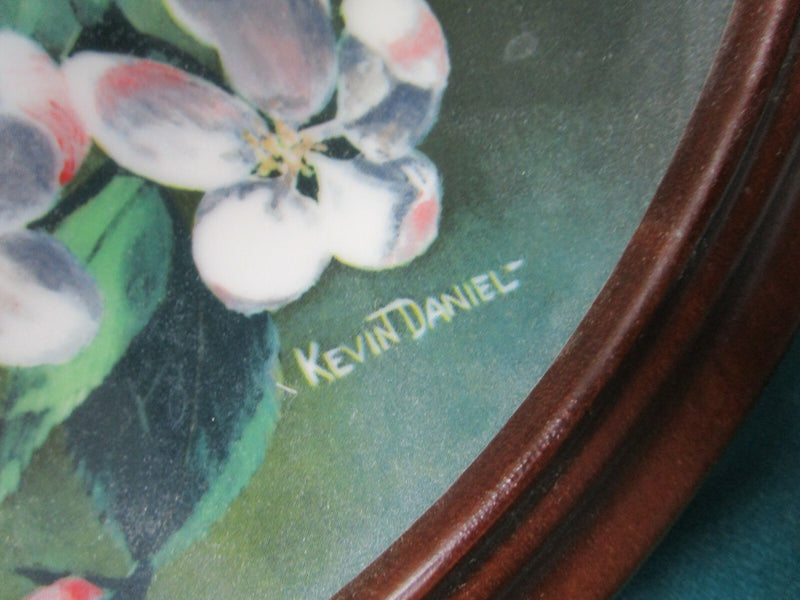 Encyclopaedia Britannica Birds Plates Wooden Frame Blue Birds -Goldfinch Pick1^^