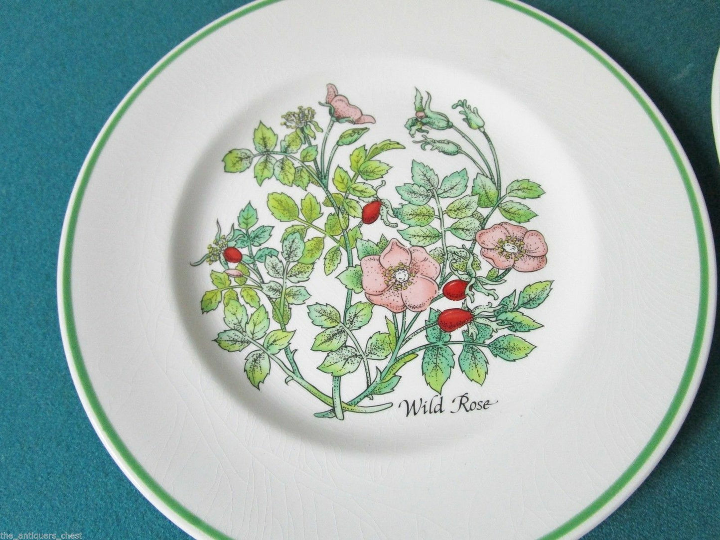 TIFFANY & CO JOHNSON BROS -MENAGERIE-  -WILD FLOWERS- SALAD PLATES ORIGIN PICK 1