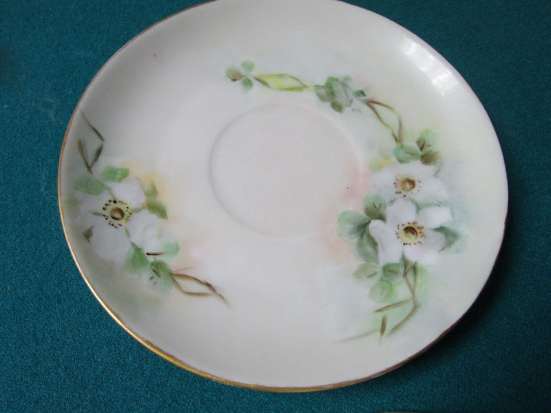 Hutshenreuther Selb Bavaria Germany Cup And Saucer Floral [12F]
