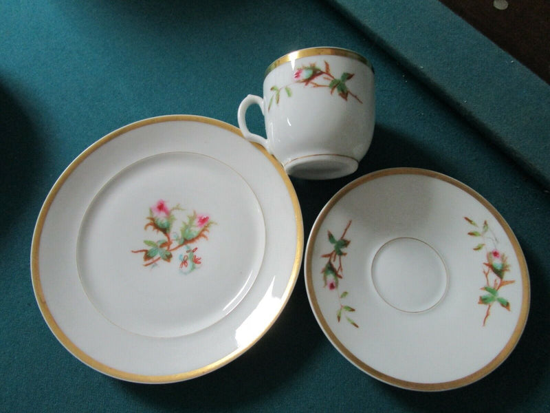 Haviland Limoges Antique Moss Rose Scott Cup Saucer Plates Pitcher Sugar Pick1 ^