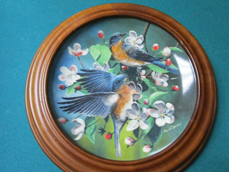 Encyclopaedia Britannica Birds Plates Wooden Frame Blue Birds -Goldfinch Pick1^^
