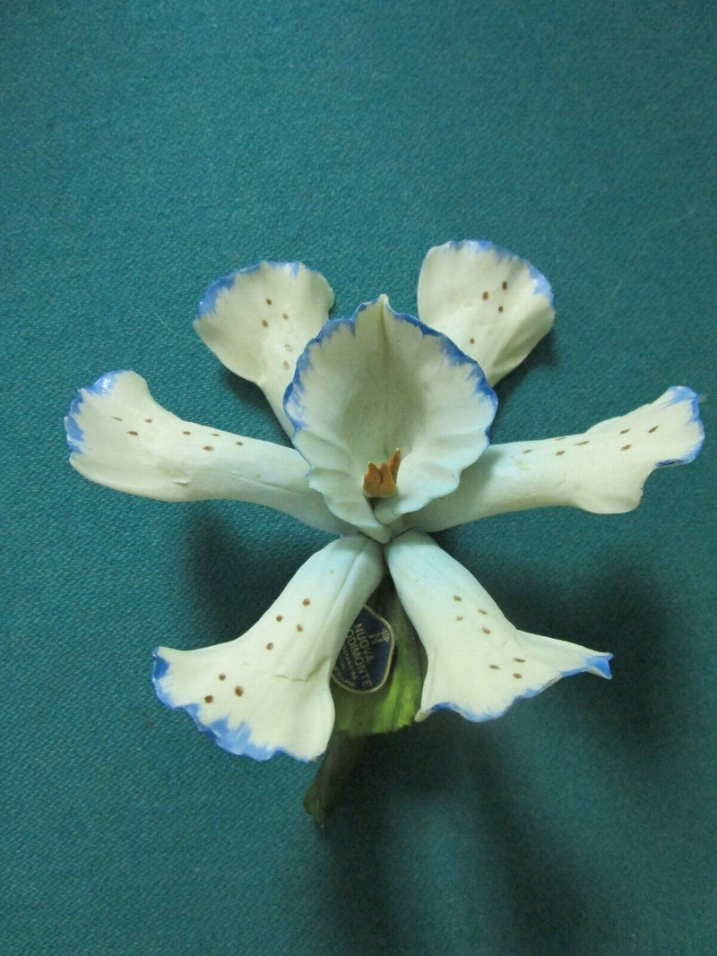 CAPODIMONTE ITALY ORCHID PORCELAIN SCULPTURE PINK, BLUE, DOTTED PICK 1