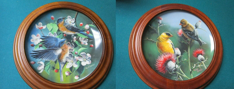 Encyclopaedia Britannica Birds Plates Wooden Frame Blue Birds -Goldfinch Pick1^^