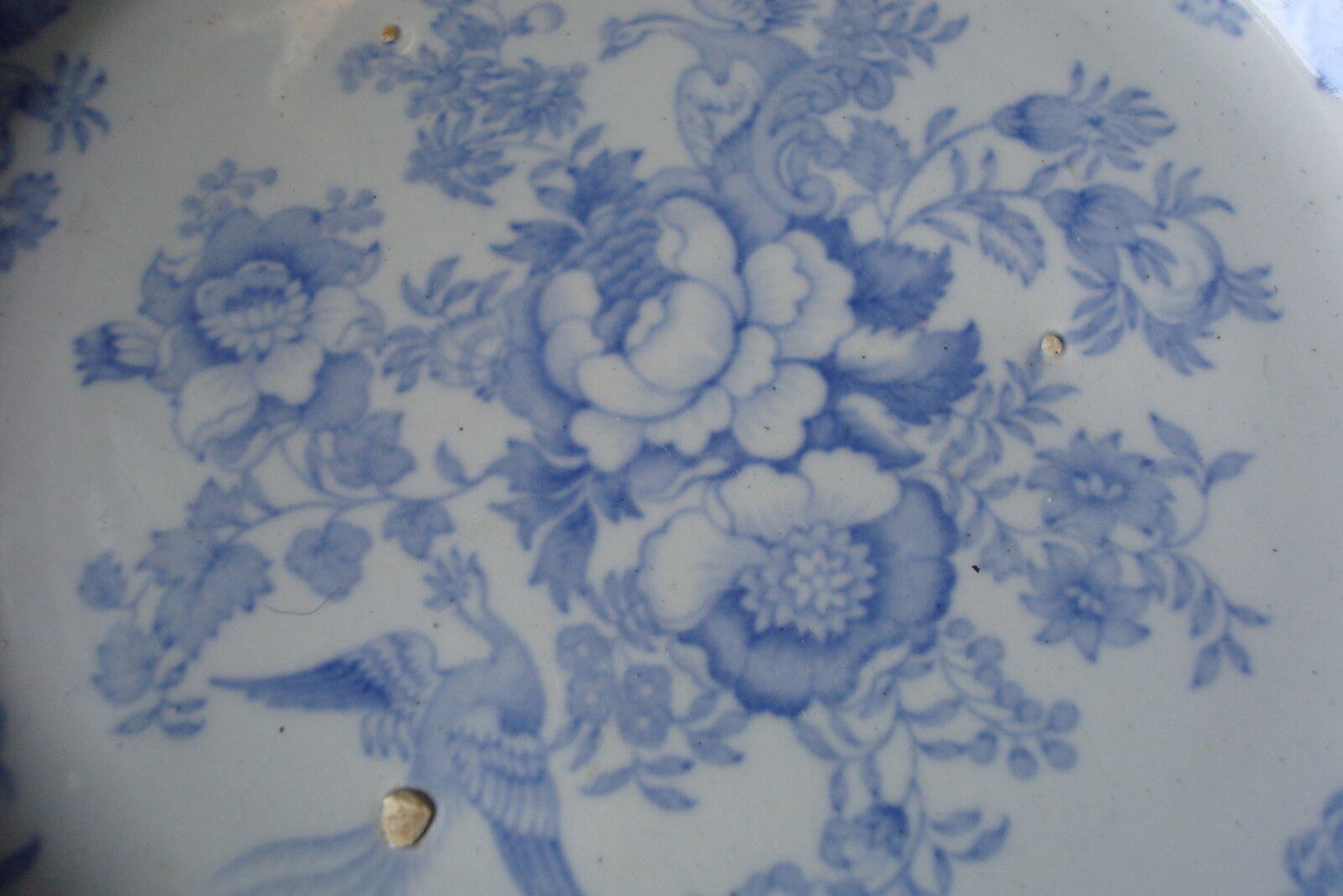 Brough & Blackhurst 1880s "Asian Pheasants" pattern china dinner plate[4mulber]