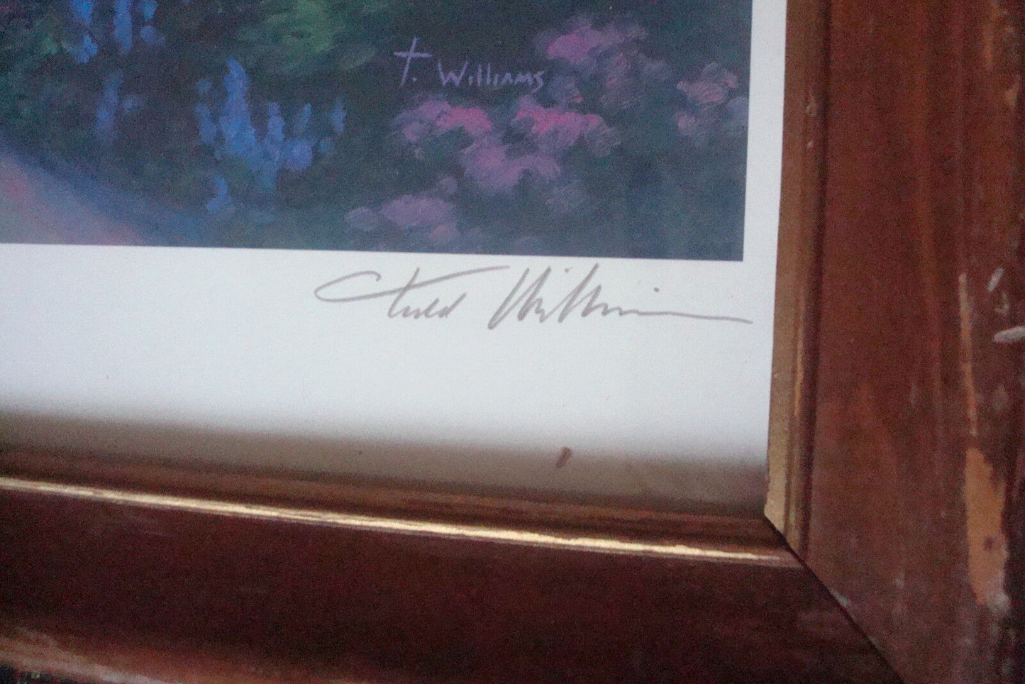 Todd Williams signed and numbered Lithograph "The Beauty of His Ways " COA[art]