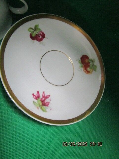 JAEGER & Co.Germany - ca 1902-1970s CUPS AND SAUCER FRUITS AND GOLD  [170A]