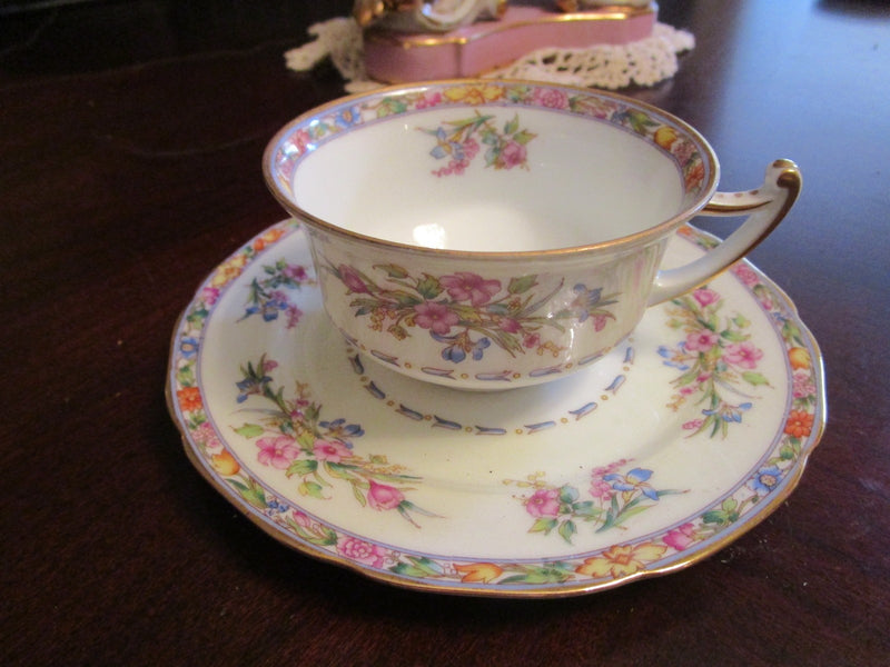 Royal Epiag Czechoslovakia Cup And Saucer c1940S RARE [10G]