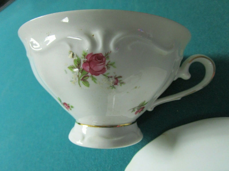 Oscar Schaller Tea Cup And Saucer Roses Original Germany