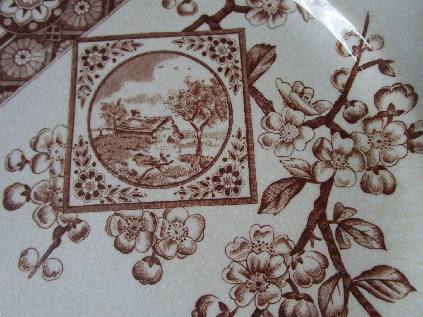 1885-90 Ridgways Pottery _Stoke On Trent /England 3 DINNER PLATES 9" "DADO" PATT