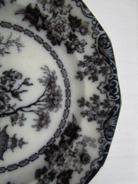 Antique Black Transfer Rhoda Gardens II Plate 9 1/4" 1850S ironstone [bp49]