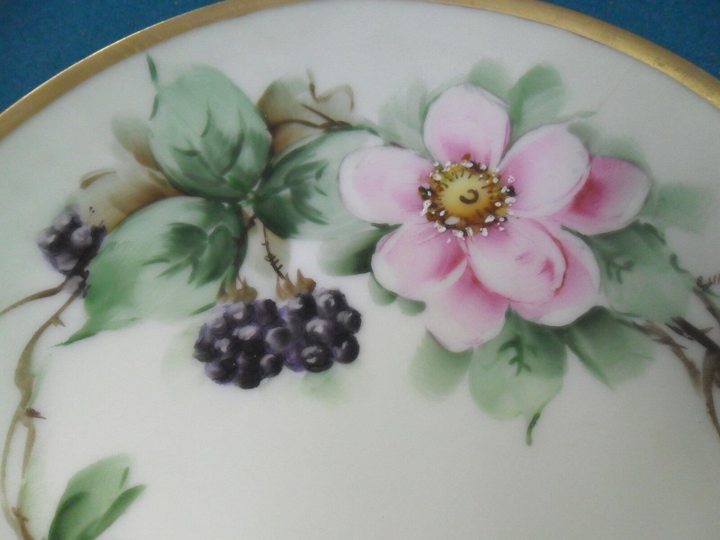 Thomas Sevres Bavaria collector plate pink flowers, gold rim,  7 1/2" ^^