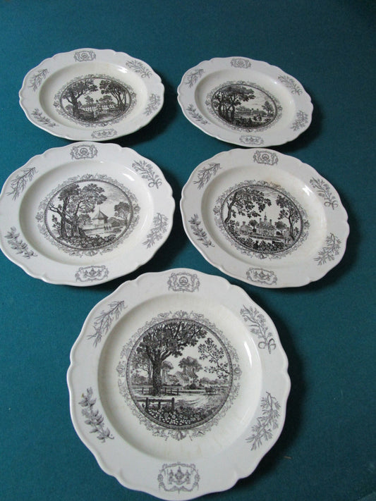 Wedgwood of Etruria and Barlaston Williamsburg Virginia PLATES PICK ONE