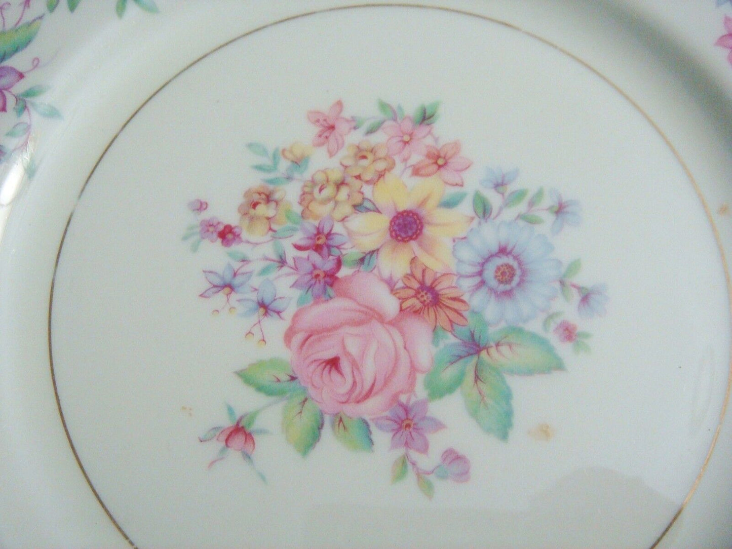 Theodore Haviland New York "Springtime" pattern, 8 salad plates [*rack]