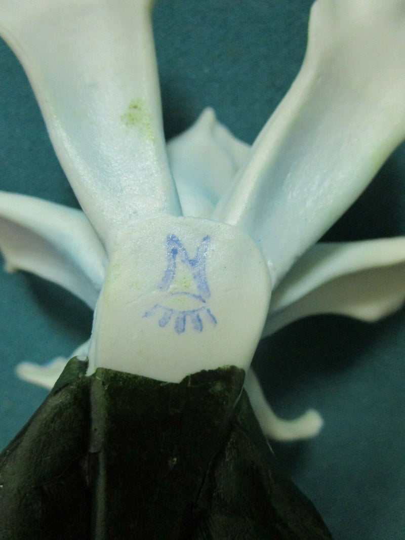 CAPODIMONTE ITALY ORCHID PORCELAIN SCULPTURE PINK, BLUE, DOTTED PICK 1