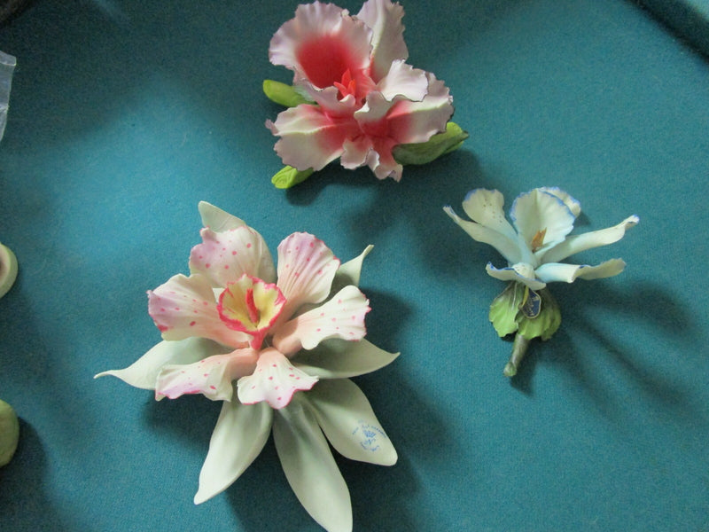 CAPODIMONTE ITALY ORCHID PORCELAIN SCULPTURE PINK, BLUE, DOTTED PICK 1