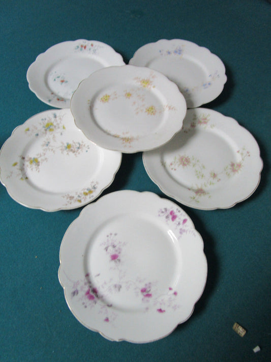 ANTIQUE CARLSBAD FOR W.H GLENNY ROCHESTER NY AUSTRIA 6 PLATES 7 1/2"