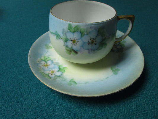 Unmarked Floral  Germany Ceramic Pink /Light Blue Cup And Saucer [95j]